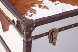 The Kensington Townhouse Brown and White Cowhide Cabinet features a textured surface with a mix of brown and white cowhide, accented by a sturdy brown frame and brass hardware. The corners are reinforced with decorative studs, highlighting the cabinet's rustic charm