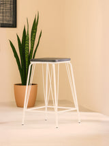 A white metal stool with a natural elm wood seat, featuring slender legs and a minimalist design, positioned next to a potted plant against a soft beige wall