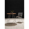 Elm Wood Round Dining Table