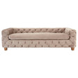 Beige velvet sofa with a tufted design, featuring a low back and thick seat cushion, supported by wooden legs. The overall style is elegant and modern, suitable for a living room setting