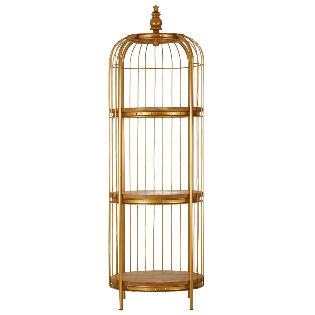 Golden Birdcage Shelf Unit