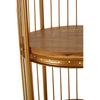 Luxe Gold Birdcage Shelf