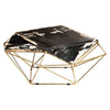 Petrified Wood Coffee Table