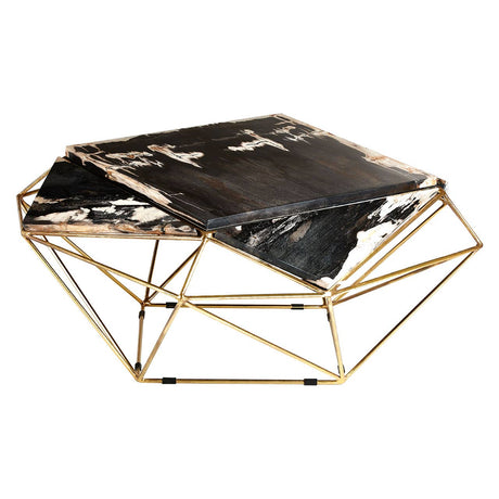 Petrified Wood Coffee Table
