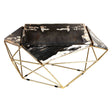 Petrified Wood Coffee Table
