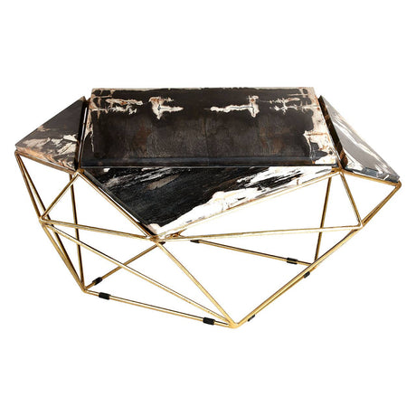 Petrified Wood Coffee Table