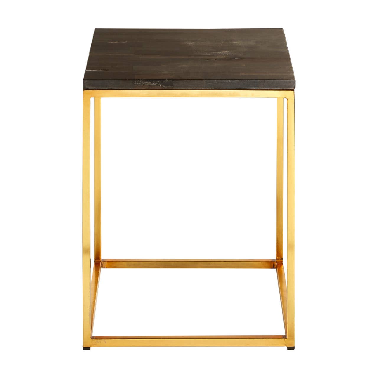 Petrified Wood Brass Side Table
