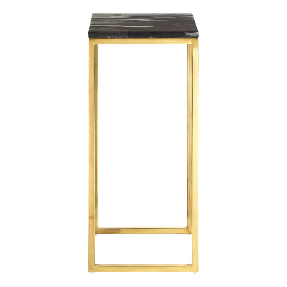 Luxury Petrified Wood Brass Table