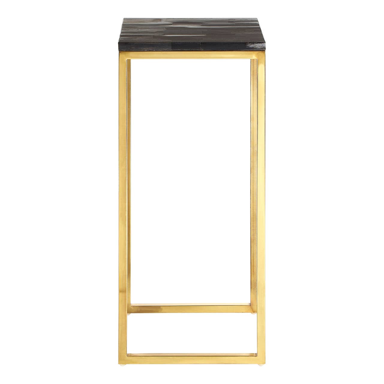 Luxury Petrified Wood Brass Table