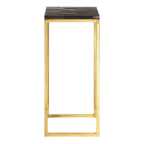 Luxury Petrified Wood Brass Table
