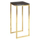 Luxury Petrified Wood Brass Table