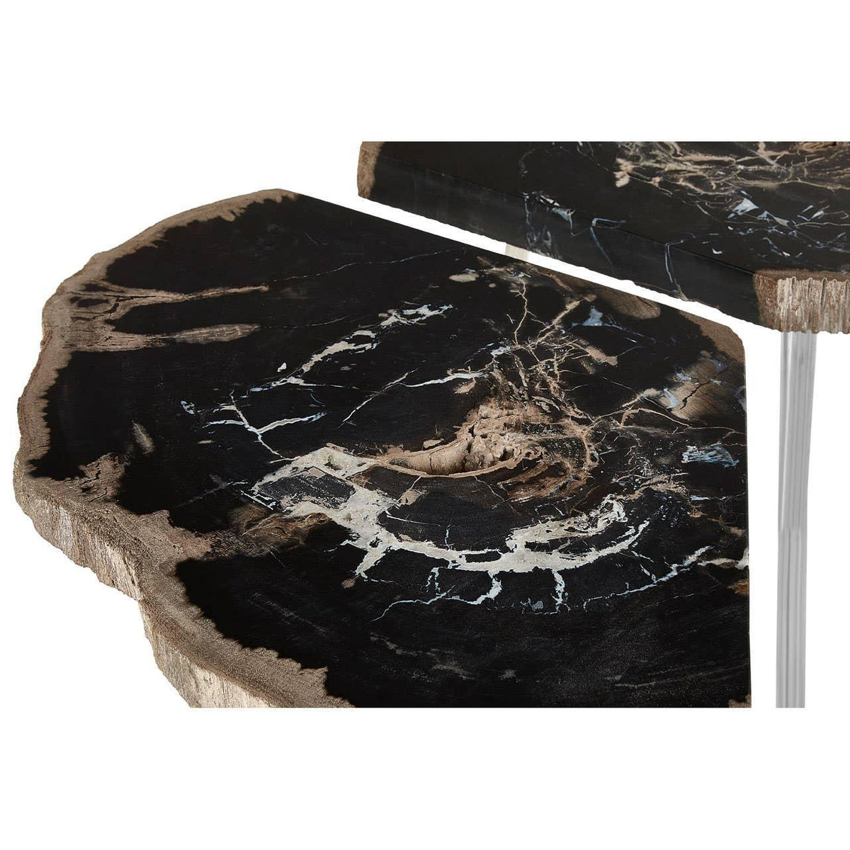Close view of petrified wood side table top with natural black and cream veining