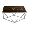 Petrified Wood Coffee Table
