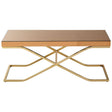 Elegant Brown Glass Coffee Table