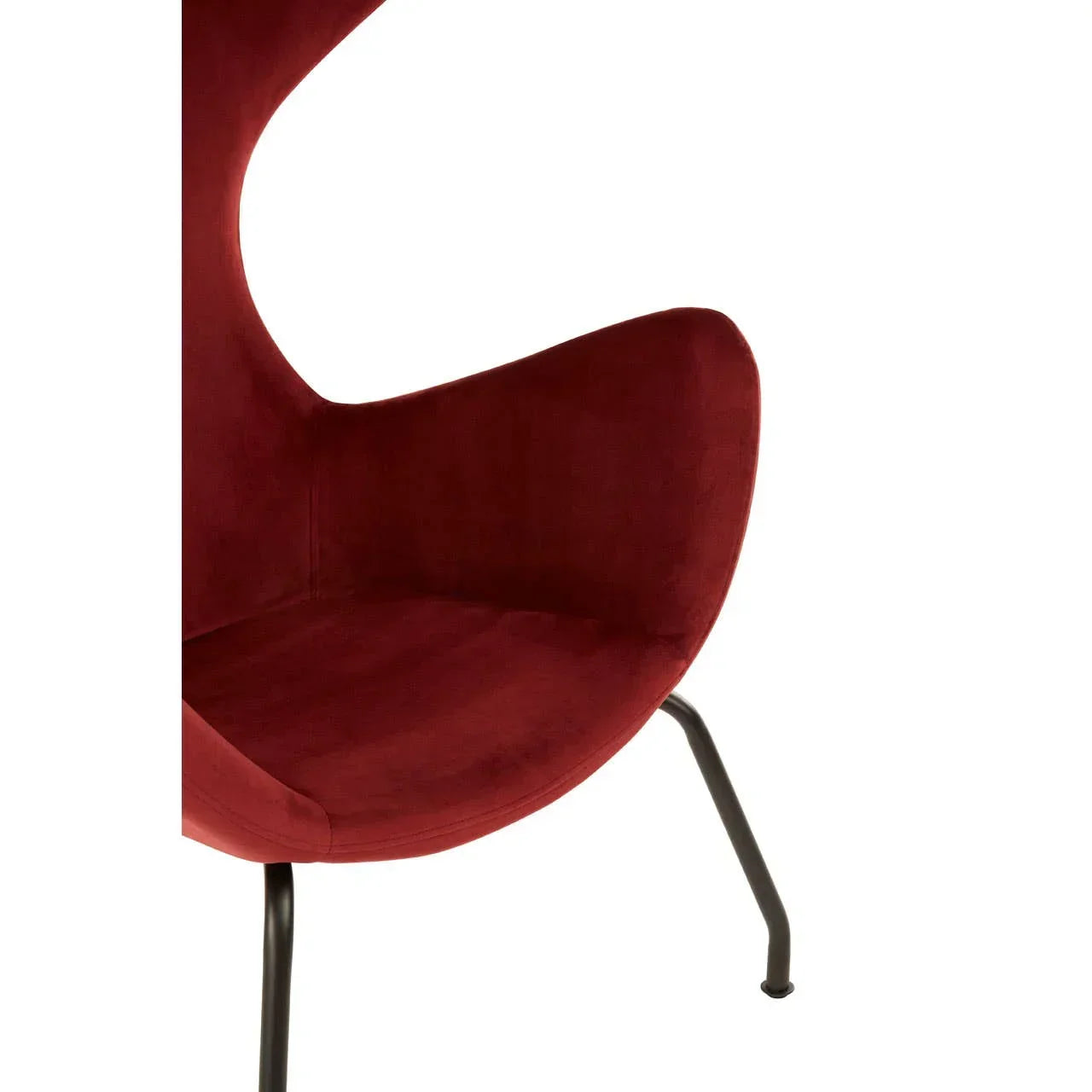 Closeup of modern red accent chair with curved velvet seat and black metal legs