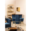Luxe Gold Cage Bookshelf