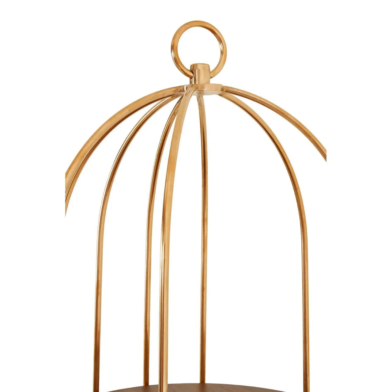 Gold metal frame of modern round shelving unit with ring detail at the top