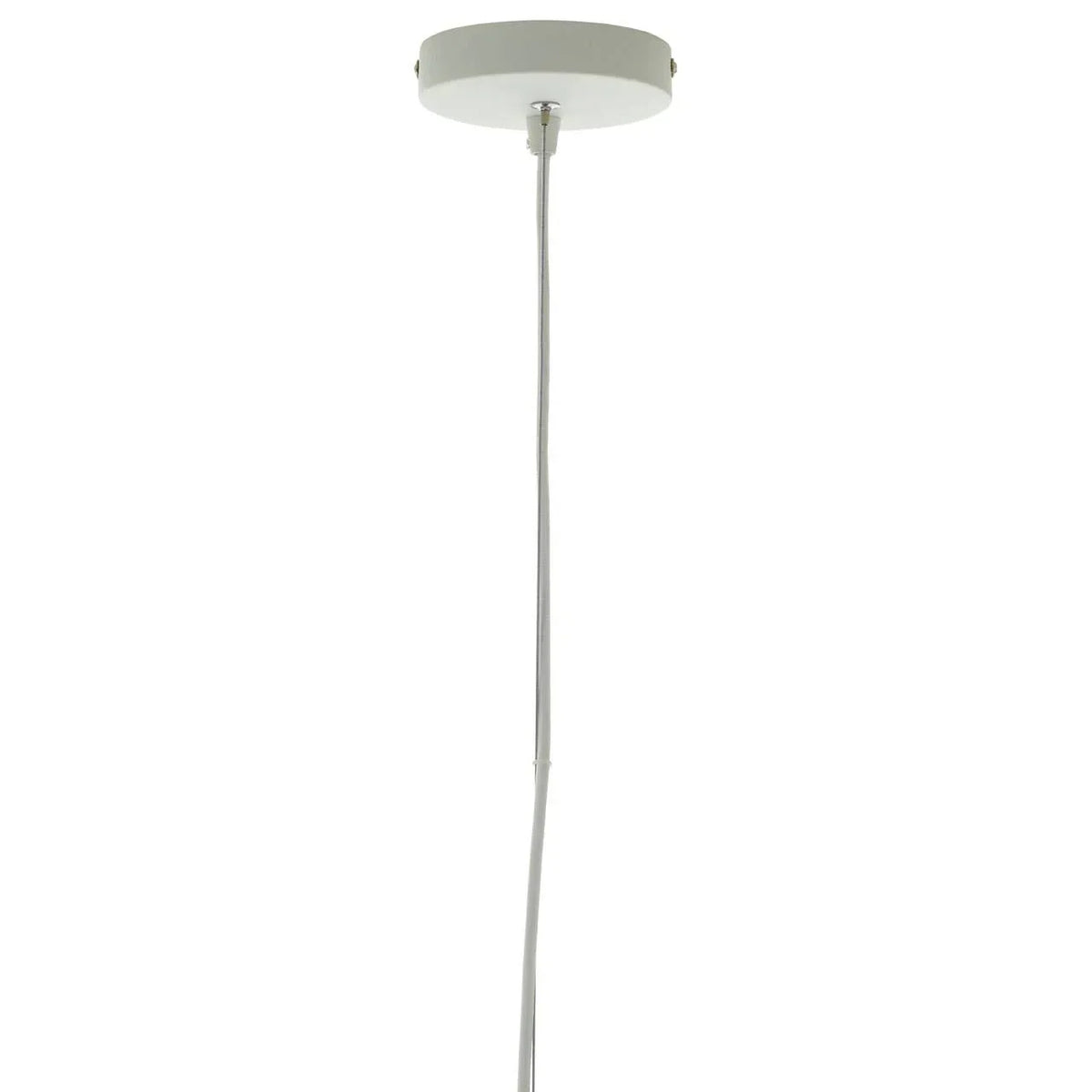 White ceiling rose with a suspended pendant light cable