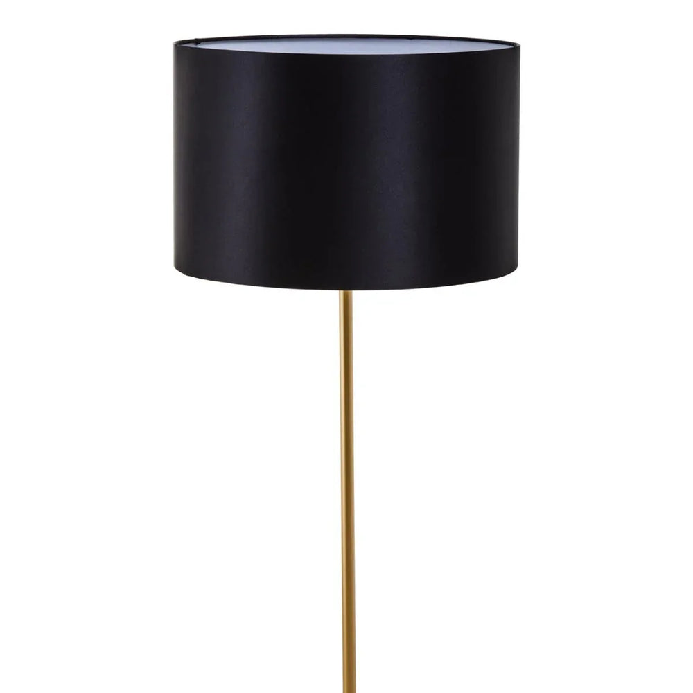 Modern Black Gold Floor Lamp