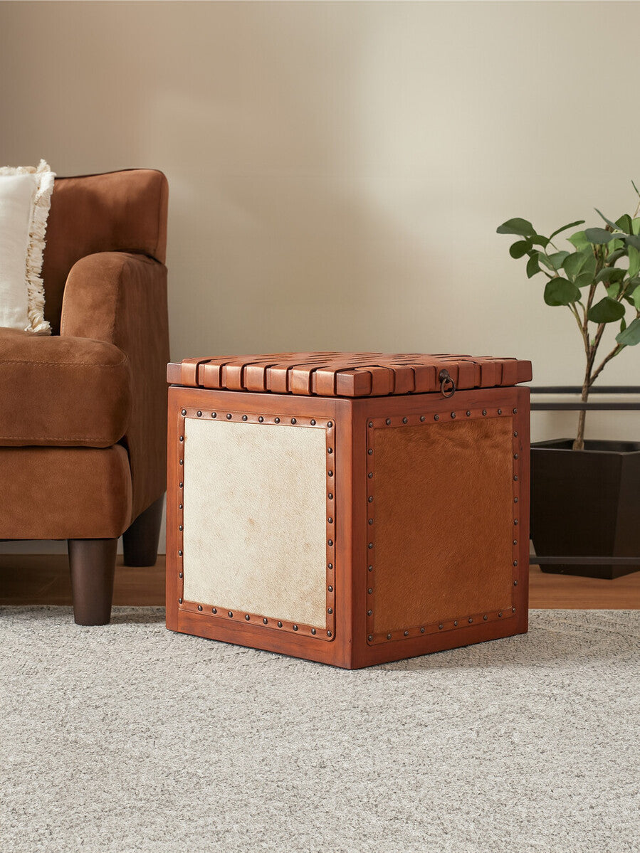 A square storage stool featuring a hair-on leather top with a rich brown color and a contrasting light beige panel on the front. The edges are adorned with decorative wooden buttons, and it sits on a soft, light-colored carpet next to a brown upholstered armchair and a small green plant in the background