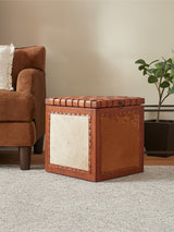 A square storage stool featuring a hair-on leather top with a rich brown color and a contrasting light beige panel on the front. The edges are adorned with decorative wooden buttons, and it sits on a soft, light-colored carpet next to a brown upholstered armchair and a small green plant in the background