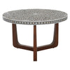 Mother of Pearl Coffee Table