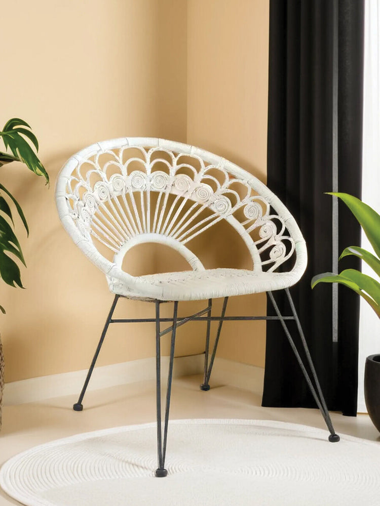 A white natural rattan chair with a curved backrest and open weave design, supported by slender black metal legs, positioned in a bright room with a light-colored wall and green plants in the background