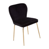 Tamzin Curved Black Gold Finish Dining Chair
