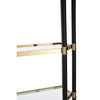 Champagne & Black Glass Shelf