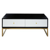 Monochrome Modern Coffee Table