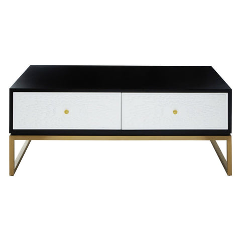 Monochrome Modern Coffee Table