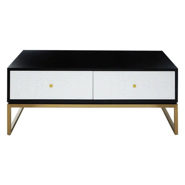 Monochrome Modern Coffee Table