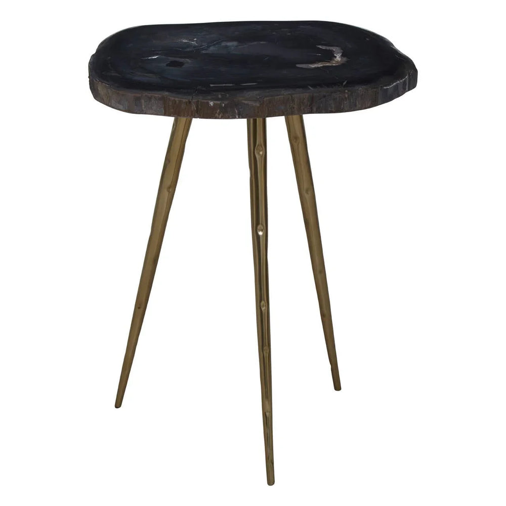 Petrified Wood Brass Side Table