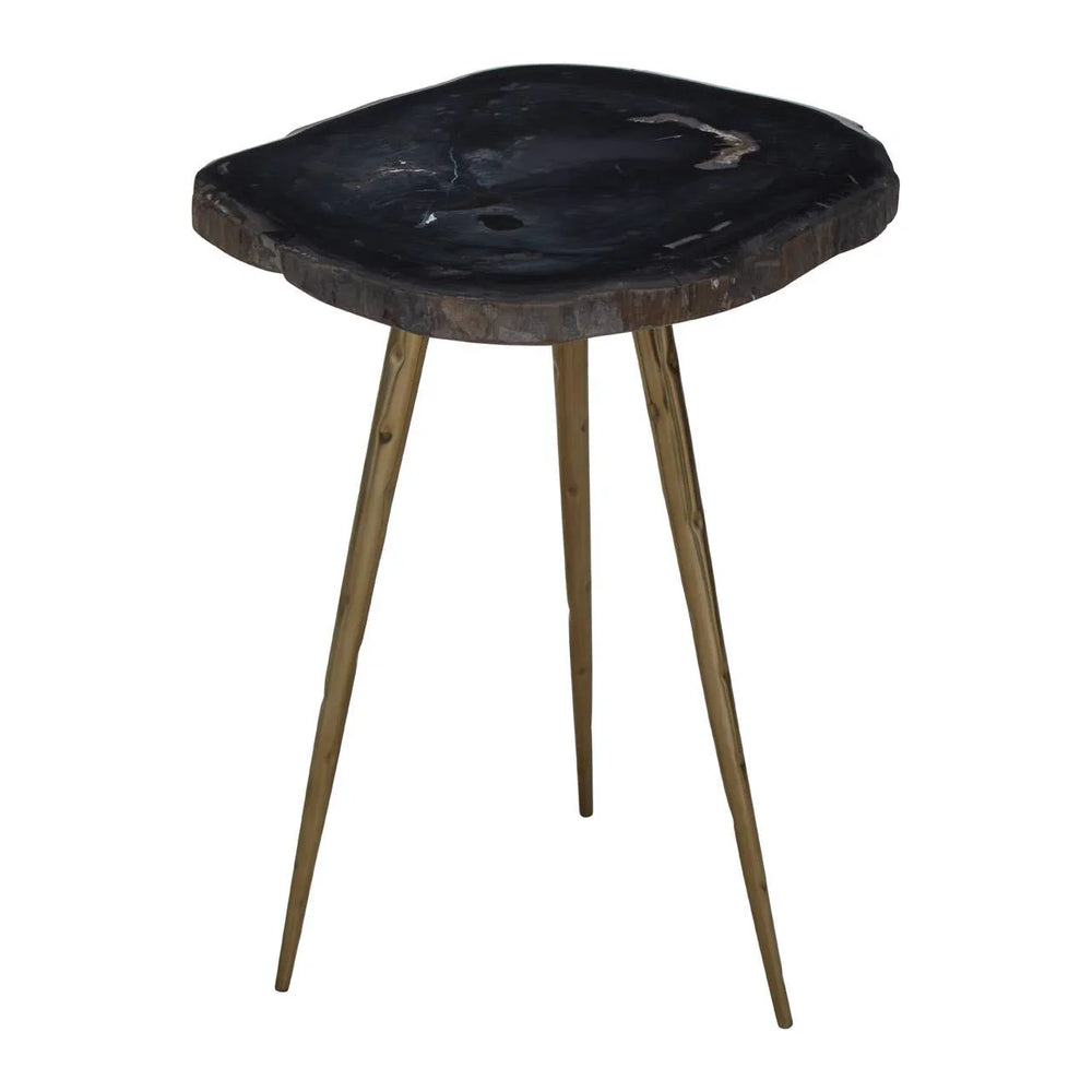 Petrified Wood Brass Side Table