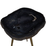 Petrified Wood Brass Side Table