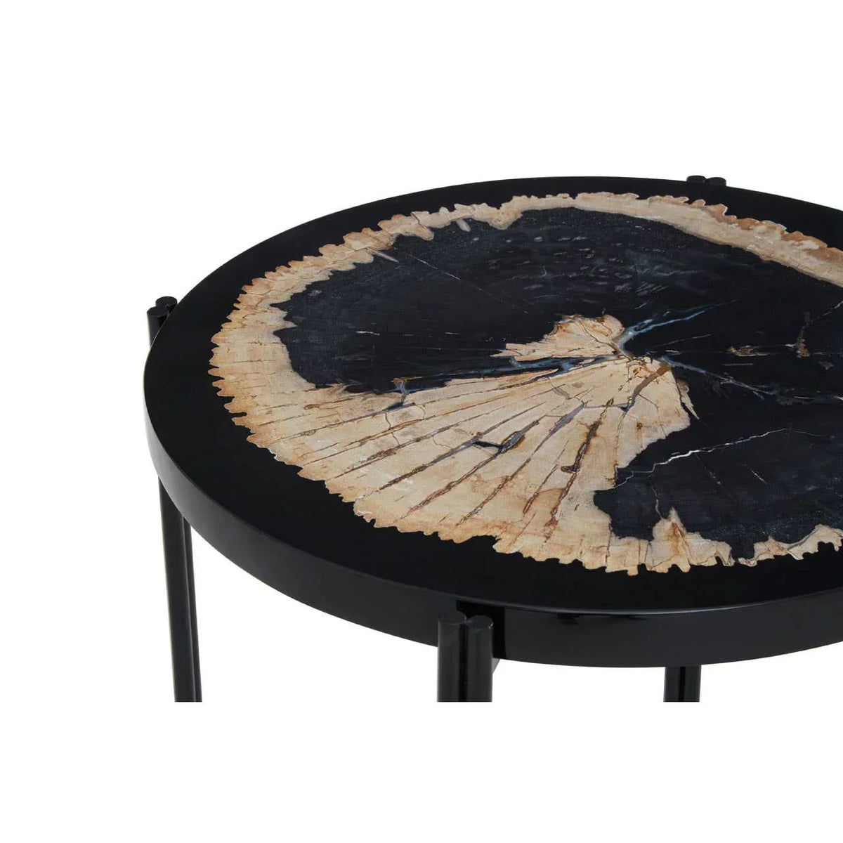 Round side table with black metal legs and petrified wood top
