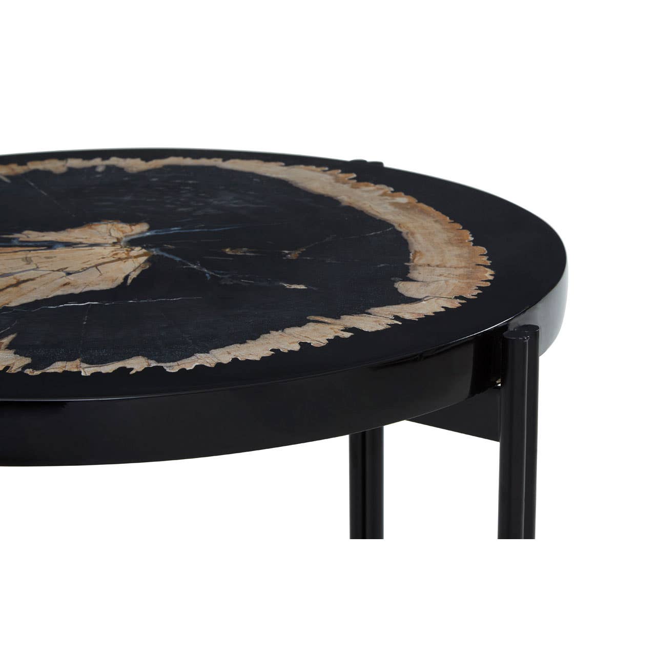 Fossil Wood Side Table