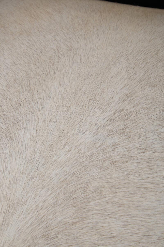 Luxe Black Alligator Armchair