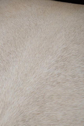 Luxe Black Alligator Armchair