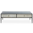 Rustic Geometric Coffee Table
