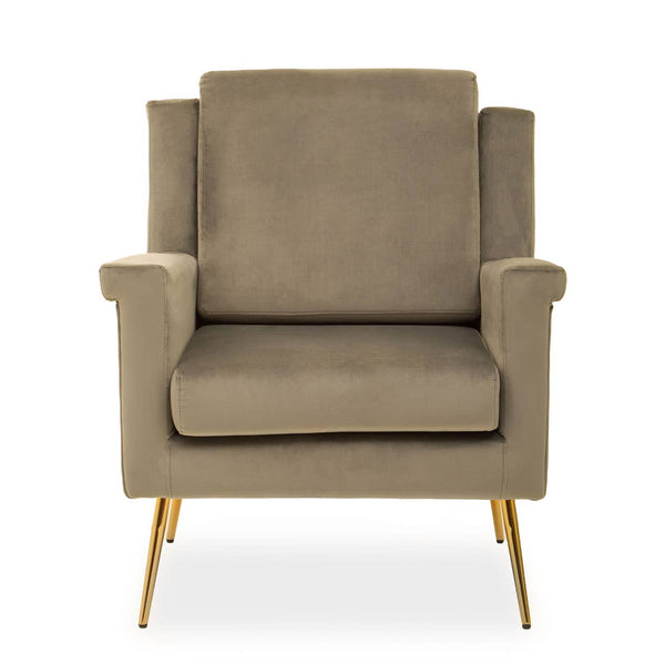 Luxe Mink Velvet Armchair