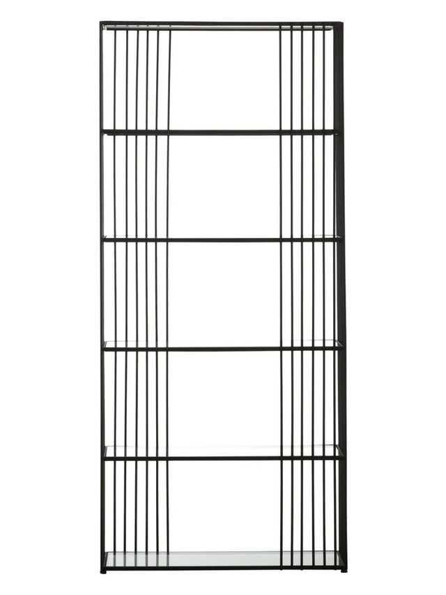 Sleek Iron Glass Bookshelf