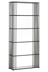 Sleek Iron Glass Bookshelf