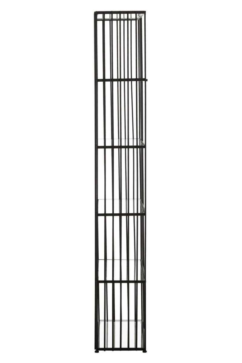 Sleek Iron Glass Bookshelf