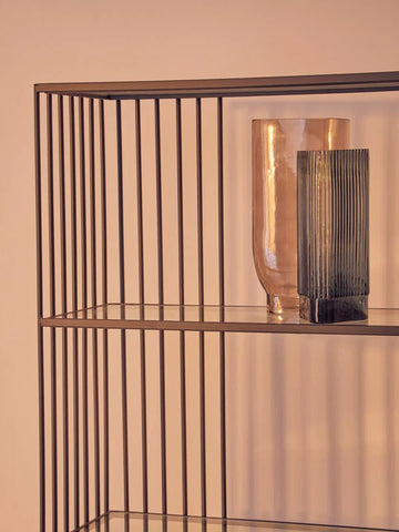 Sleek Iron Glass Bookshelf