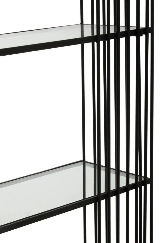 Sleek Iron Glass Bookshelf