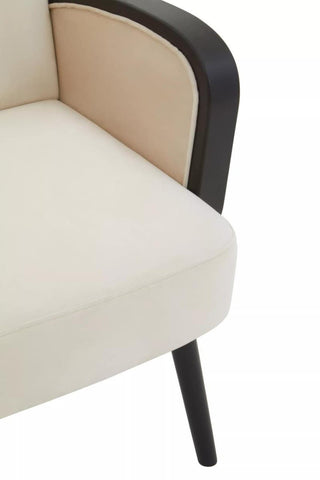 Luxe Velvet Accent Chair