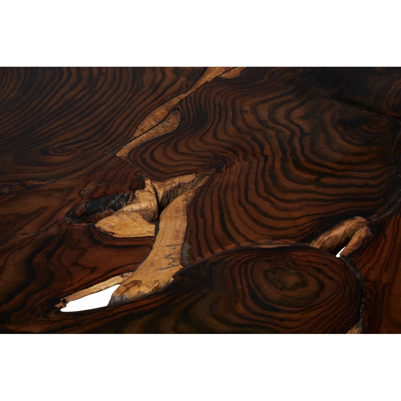 Root Wood Coffee Table
