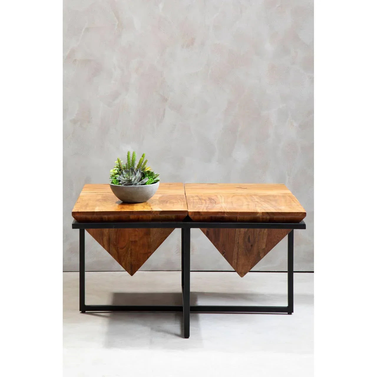 Geometric solid wood coffee table with black metal frame and plant decor