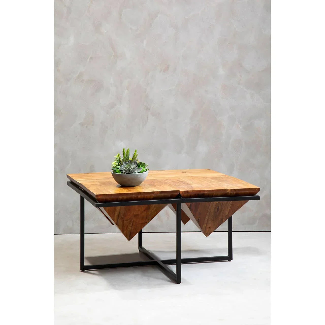 Modern wood and metal coffee table with geometric base and potted succulent on top
